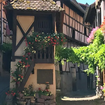 펜션 Les Terrasses Du Donon Raon-les-Leau