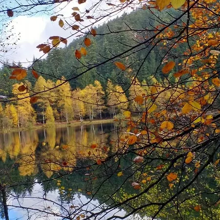 펜션 Les Terrasses Du Donon Raon-les-Leau