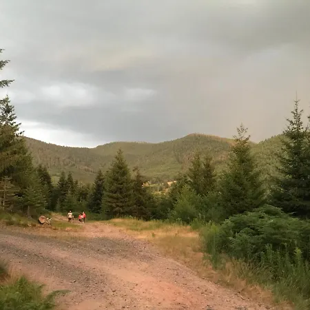 Hébergement de vacances Les Terrasses Du Donon