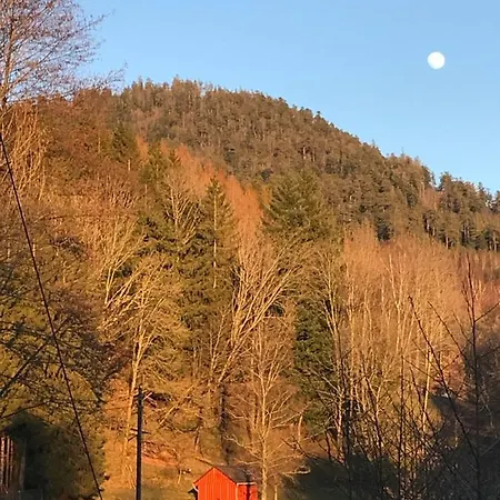 Les Terrasses Du Donon Raon-les-Leau