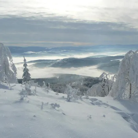 Les Terrasses Du Donon * Raon-les-Leau