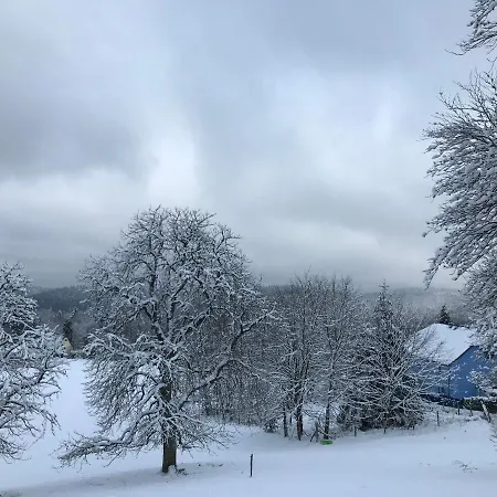 Les Terrasses Du Donon Ferienhaus Raon-les-Leau