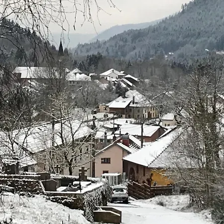 Les Terrasses Du Donon Raon-les-Leau