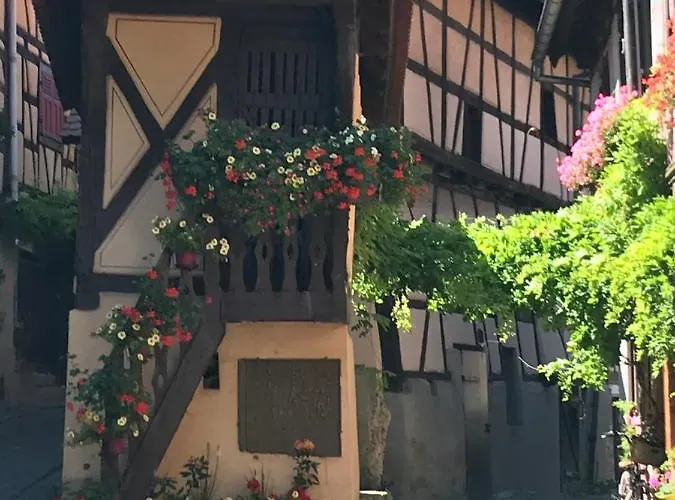 Hébergement de vacances Les Terrasses Du Donon Raon-les-Leau