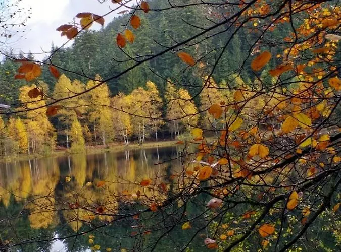 Hébergement de vacances Les Terrasses Du Donon Raon-les-Leau
