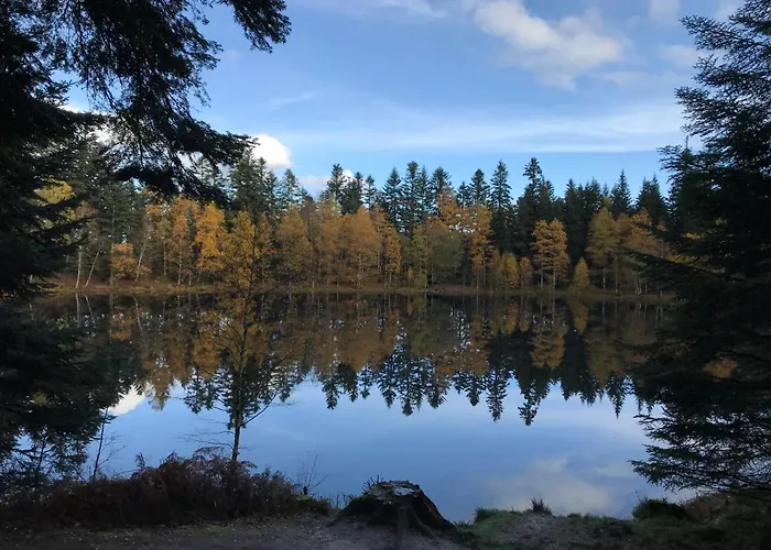 Les Terrasses Du Donon Holiday home *
