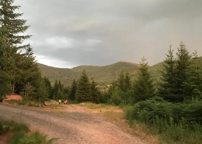 בית נופש Les Terrasses Du Donon