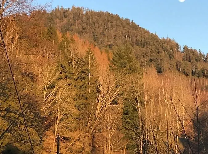 Les Terrasses Du Donon Raon-les-Leau