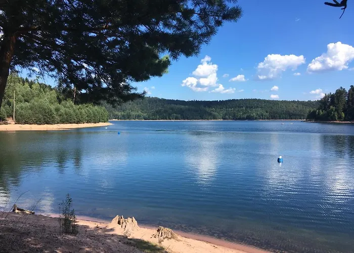 Les Terrasses Du Donon Hébergement de vacances *