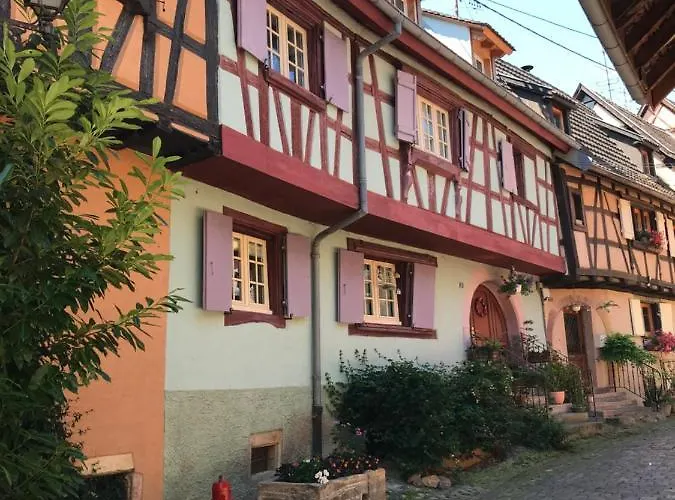 Hébergement de vacances Les Terrasses Du Donon