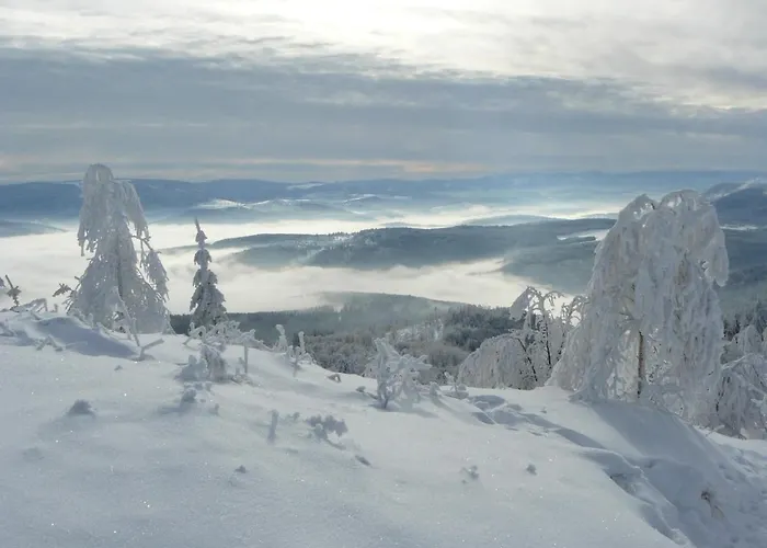 Les Terrasses Du Donon * Raon-les-Leau