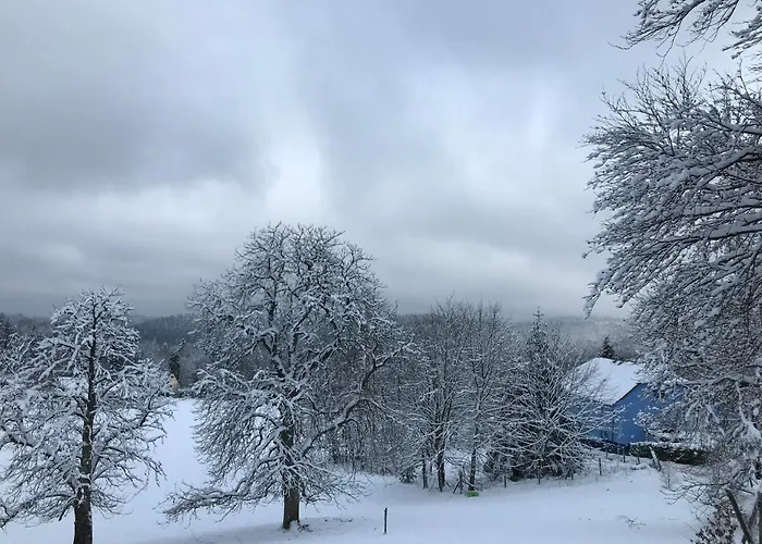 Les Terrasses Du Donon Hébergement de vacances Raon-les-Leau