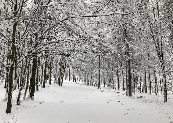 Les Terrasses Du Donon